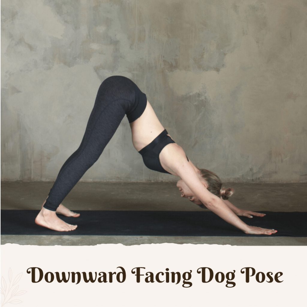 Downward facing dog pose
