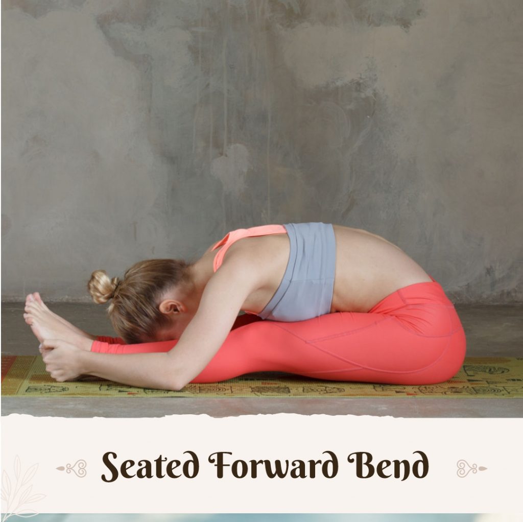 seated forward bend pose