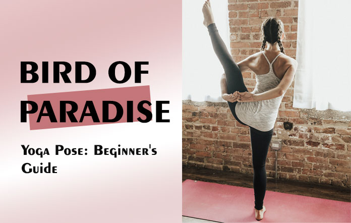 Bird of Paradise yoga pose