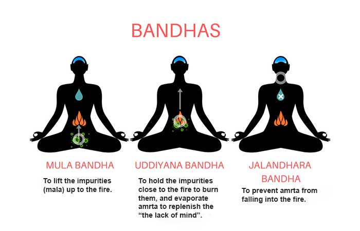 Types of yoga bandhas